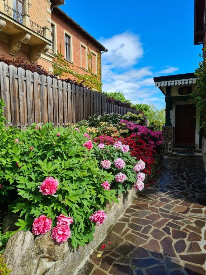 Ferienwohnung Am Heidelberg แบลงเคนบวร์ก ภายนอก รูปภาพ